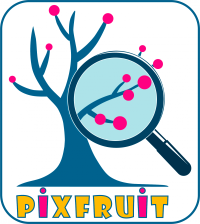 logo pixfruit